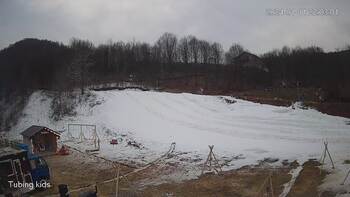 Ведмежа 11 січня 2024 року, 2024-01-11 16:00