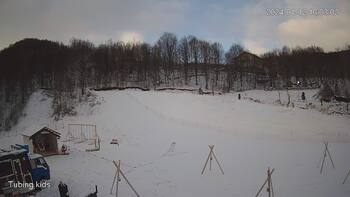 Ведмежа 12 січня 2024 року, 2024-01-12 10:00