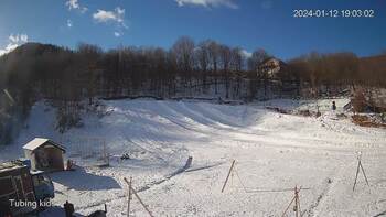 Ведмежа 12 січня 2024 року, 2024-01-12 13:00