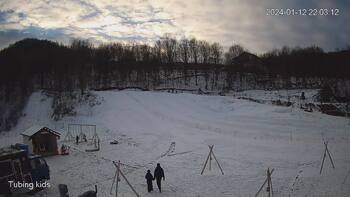 Ведмежа 12 січня 2024 року, 2024-01-12 16:00
