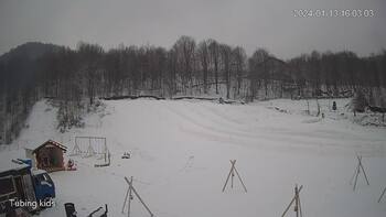 Ведмежа 13 січня 2024 року, 2024-01-13 10:00
