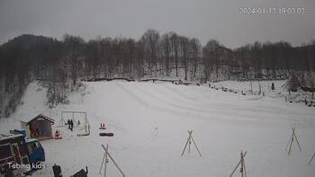 Ведмежа 13 січня 2024 року, 2024-01-13 13:00
