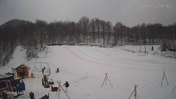 Ведмежа 13 січня 2024 року, 2024-01-13 16:00
