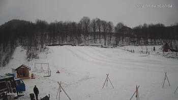 Ведмежа 14 січня 2024 року, 2024-01-14 10:00