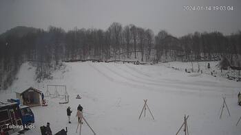 Ведмежа 14 січня 2024 року, 2024-01-14 13:00