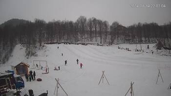Ведмежа 14 січня 2024 року, 2024-01-14 16:00