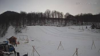 Ведмежа 15 січня 2024 року, 2024-01-15 10:00