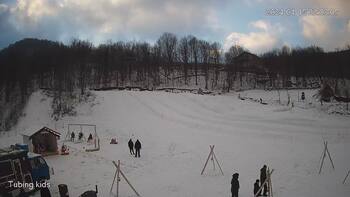 Ведмежа 15 січня 2024 року, 2024-01-15 16:00