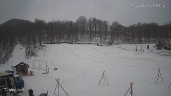 Ведмежа 16 січня 2024 року, 2024-01-16 10:00