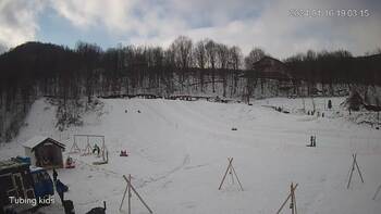 Ведмежа 16 січня 2024 року, 2024-01-16 13:00