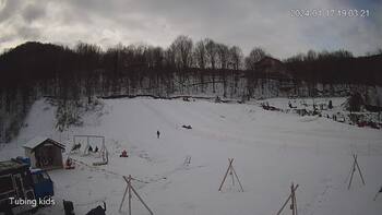 Ведмежа 17 січня 2024 року, 2024-01-17 13:00