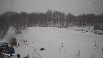 Ведмежа 17 січня 2024 року, 2024-01-17 16:00