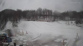 Ведмежа 18 січня 2024 року, 2024-01-18 13:00