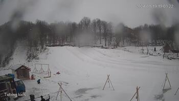 Ведмежа 19 січня 2024 року, 2024-01-19 13:00