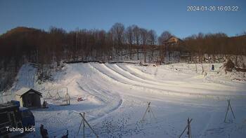 Ведмежа 20 січня 2024 року, 2024-01-20 10:00