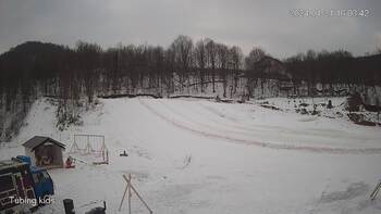 Ведмежа 21 січня 2024 року, 2024-01-21 10:00