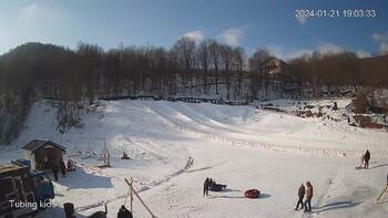 Ведмежа 21 січня 2024 року, 2024-01-21 13:00