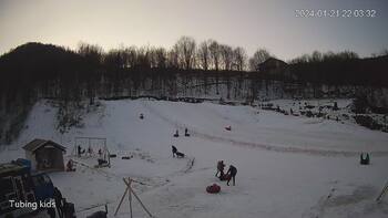 Ведмежа 21 січня 2024 року, 2024-01-21 16:00