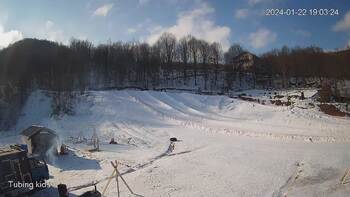 Ведмежа 22 січня 2024 року, 2024-01-22 13:00