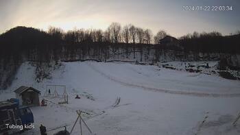 Ведмежа 22 січня 2024 року, 2024-01-22 16:00