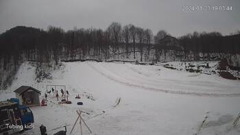 Ведмежа 23 січня 2024 року, 2024-01-23 13:00