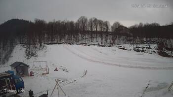 Ведмежа 23 січня 2024 року, 2024-01-23 16:00