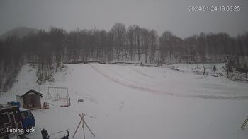 Ведмежа 24 січня 2024 року, 2024-01-24 13:00
