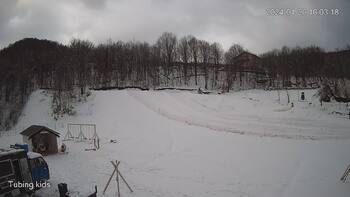 Ведмежа 26 січня 2024 року, 2024-01-26 10:00