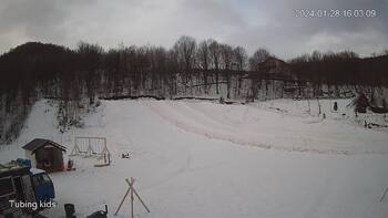 Ведмежа 28 січня 2024 року, 2024-01-28 10:00
