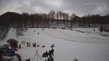 Ведмежа 28 січня 2024 року, 2024-01-28 16:00
