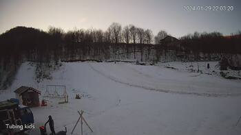 Ведмежа 29 січня 2024 року, 2024-01-29 16:00