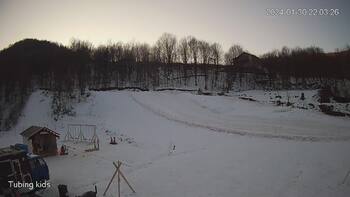 Ведмежа 30 січня 2024 року, 2024-01-30 16:00