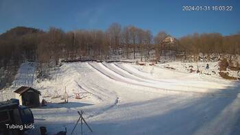 Ведмежа 31 січня 2024 року, 2024-01-31 10:00