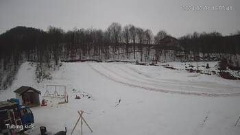 Ведмежа 1 лютого 2024 року, 2024-02-01 10:00