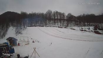 Ведмежа 1 лютого 2024 року, 2024-02-01 13:00