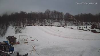 Ведмежа 4 лютого 2024 року, 2024-02-04 10:00
