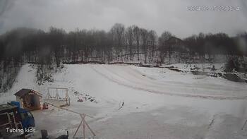 Ведмежа 5 лютого 2024 року, 2024-02-05 16:00