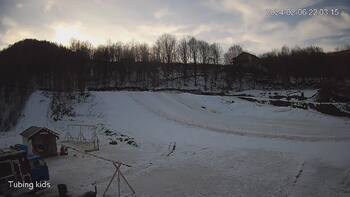 Ведмежа 6 лютого 2024 року, 2024-02-06 16:00