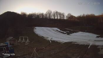 Ведмежа 15 лютого 2024 року, 2024-02-15 16:00