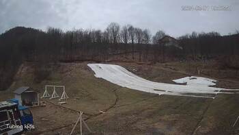 Ведмежа 1 березня 2024 року, 2024-03-01 13:00