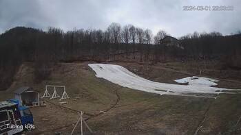 Ведмежа 1 березня 2024 року, 2024-03-01 16:00
