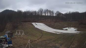 Ведмежа 3 березня 2024 року, 2024-03-03 13:00