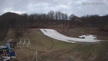 Ведмежа 3 березня 2024 року, 2024-03-03 16:00