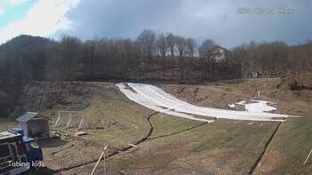 Ведмежа 5 березня 2024 року, 2024-03-05 13:00