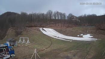 Ведмежа 5 березня 2024 року, 2024-03-05 16:00