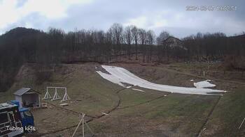 Ведмежа 7 березня 2024 року, 2024-03-07 13:00