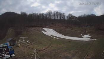 Ведмежа 7 березня 2024 року, 2024-03-07 16:00