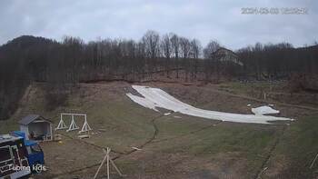 Ведмежа 8 березня 2024 року, 2024-03-08 10:00