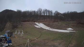 Ведмежа 10 березня 2024 року, 2024-03-10 16:00