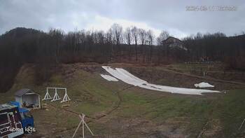 Ведмежа 11 березня 2024 року, 2024-03-11 10:00
